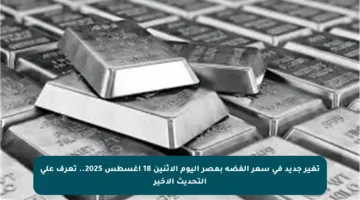 تغير جديد في سعر الفضة بمصر اليوم الاثنين 18 أغسطس 2025.. تعرف على التحديث الأخير
